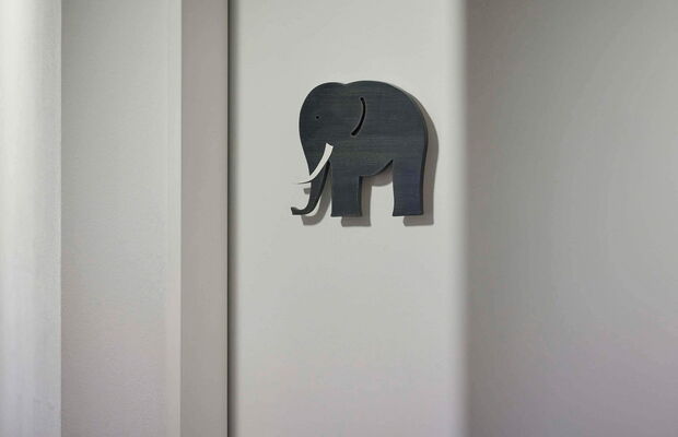 Kinderärzte Ziegler Elefant an der Wand